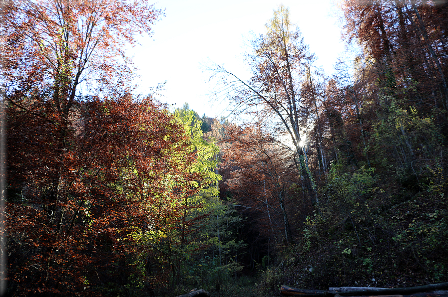 foto Da Rocca di Arsie al Col di Baio